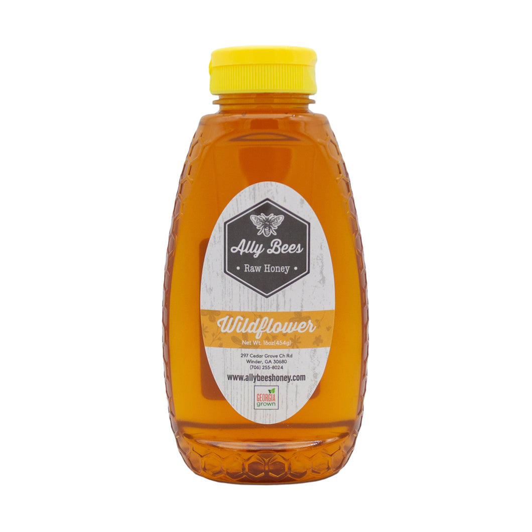 Preorder Wildflower Honey -- AVAILABLE JUNE 1, 2024--Wildflower Honey - Squeezer