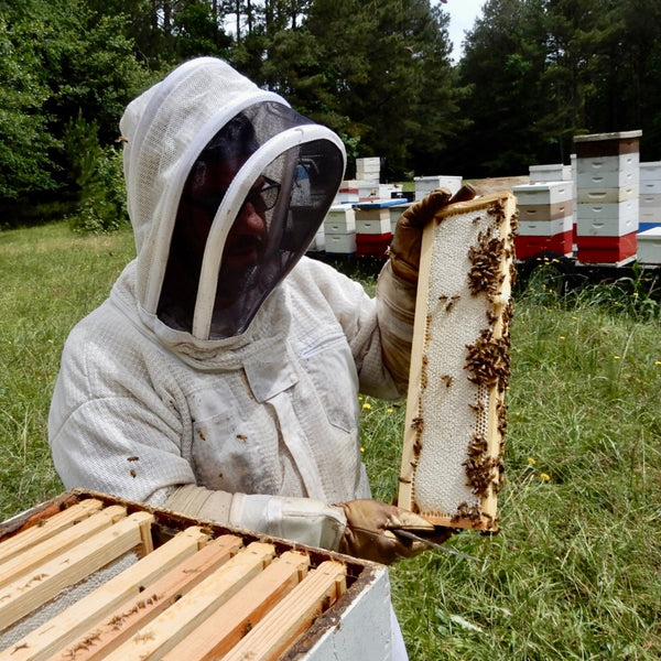 Where does honeycomb come from?